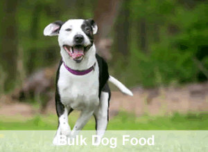Bulk pet food Melbourne | Wholesale pet food Melbourne | E & A Salce